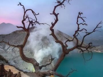 Whatsapp Image 2025 12 02 At 9.16.33 Am (2)