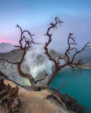 open trip Kawah Ijen Banyuwangi 3 trip kawah ijen banyuwangi baluran