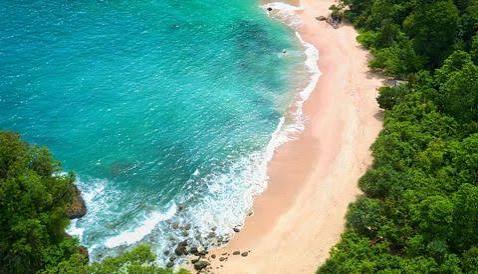 Contact Yuk Banyuwangi 