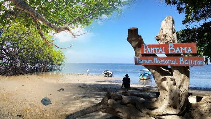 Paket Wisata Baluran Banyuwangi 4 Paket Baluran dan Ijen