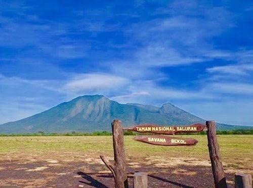 Paket Wisata Baluran Banyuwangi 1 Whatsapp Image 2025 12 11 At 9.03.29 Am (3)