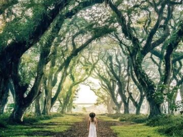 Open Trip Banyuwangi Kawah Ijen dan Djawatan Yuk Banyuwangi