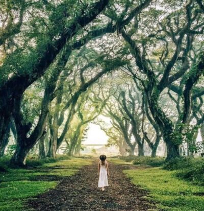 Open trip Banyuwangi 02 Hari 01 Malam