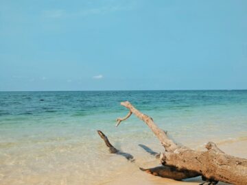 Pantai Pulau Santen Banyuwangi: Info, Harga & Rute Terbaru Pantai Pulau Santen Banyuwangi: Info, Harga & Rute Terbaru