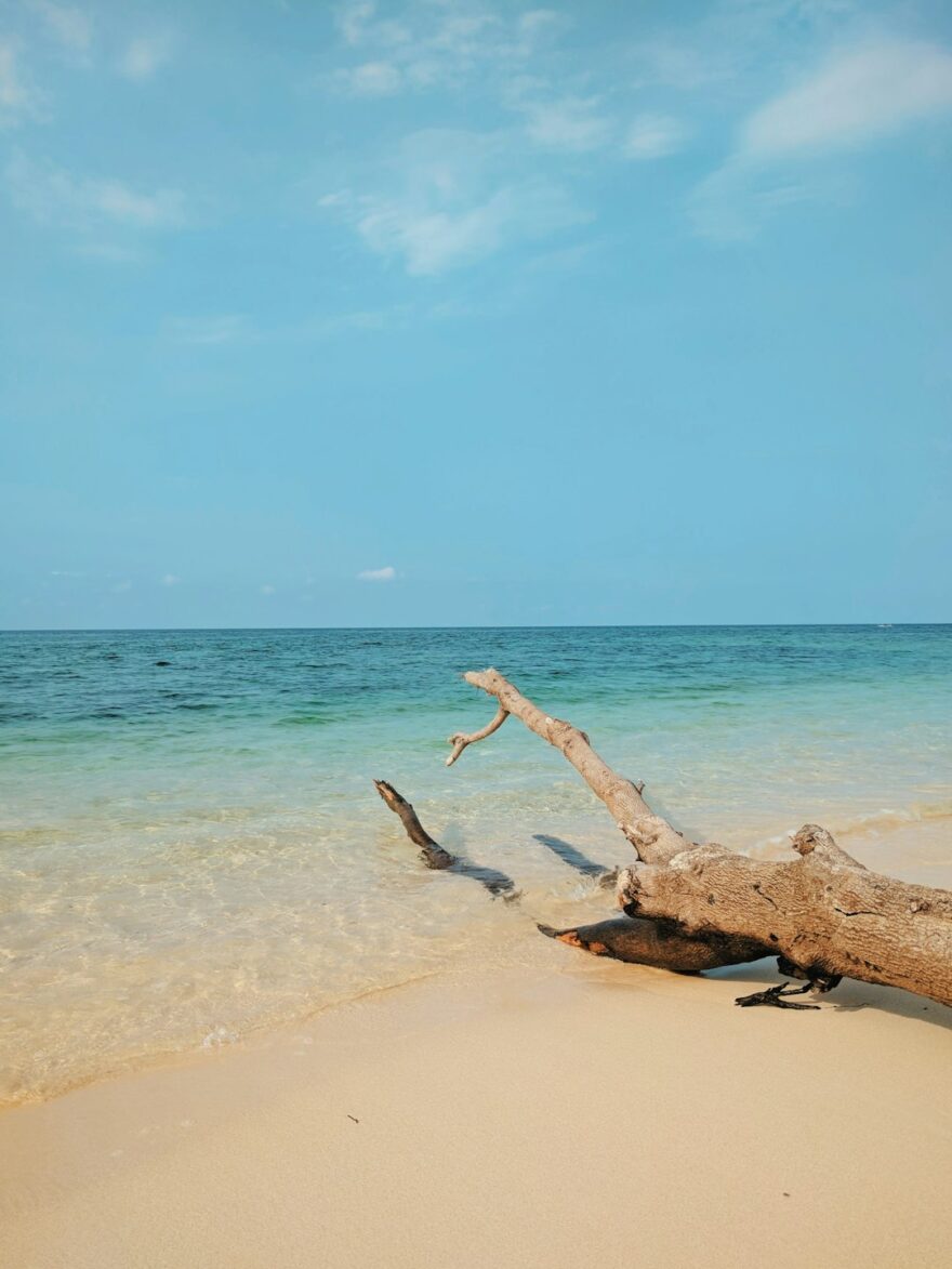 Pantai Pulau Santen Banyuwangi: Info, Harga & Rute Terbaru